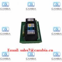 GE FANUC	DS200TCPSG1AME	ic695alg608